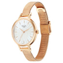 Titan Raga Power Pearls Quartz Analog Mother Of Pearl Dial Metal Strap Watch for Women