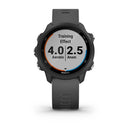 Garmin Forerunner 245 Silicone Gray Strap Full Color Display Dial Watch - 010-02120-10