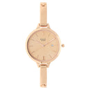 Titan Raga Viva Rose Gold Dial Women Watch With Metal Strap