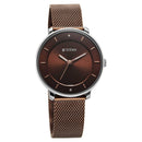 Titan Noir Brown Dial Analog Metal Strap Watch for Women