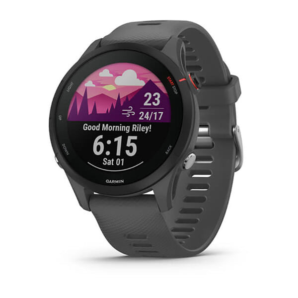 Garmin Forerunner 255 Basic Slate Grey Full Display Watch - 010-02641-10