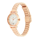 TITAN SILVER DIAL STAINLESS STEEL WATCH 2602WM01