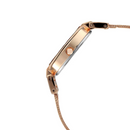 TITAN RAGA VIVA ANTHRACITE DIAL ANALOG WATCH FOR WOMEN 2608WM02