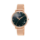 Alba Fashion Grey Dial Ladies Watch - AH8692X1