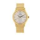 TITAN KARISHMA ANALOG WATCH FOR MEN 1580YM04