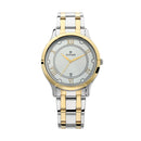 TITAN KARISHMA SILVER DIAL ANALOG WATCH FOR MEN 1775BM01