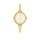 TITAN RAGA VIVA CHAMPANGE DIAL ANALOG WATCH FOR WOMEN 2575YM01