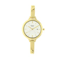 TITAN RAGA VIVA CHAMPANGE DIAL ANALOG WATCH FOR WOMEN 2578YM01