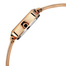 TITAN SILVER DIAL METAL STRAP WATCH 2598WM01