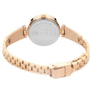 TITAN SILVER DIAL METAL STRAP WATCH 2598WM01