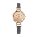 TITAN RAGA VIVA ROSE GOLD DIAL ANALOG WATCH FOR WOMEN 2608WL01