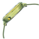 TITAN RAGA MOMENTS OF JOY WATCH WITH GREEN DIAL & BRASS STRAP 95134QM01