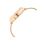 TITAN CRYSTAL FROM RAGA MOMENTS OF JOY 95134WM01